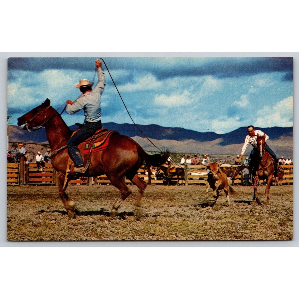 Postcard Calf Roping Cowboys Horses Cows Ranch Unposted c1970s Vintage Rodeo